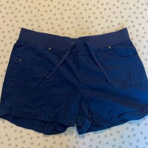 Arizona Navy Shorts